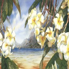 Схема вышивки «Цветы Даррила Тротта»