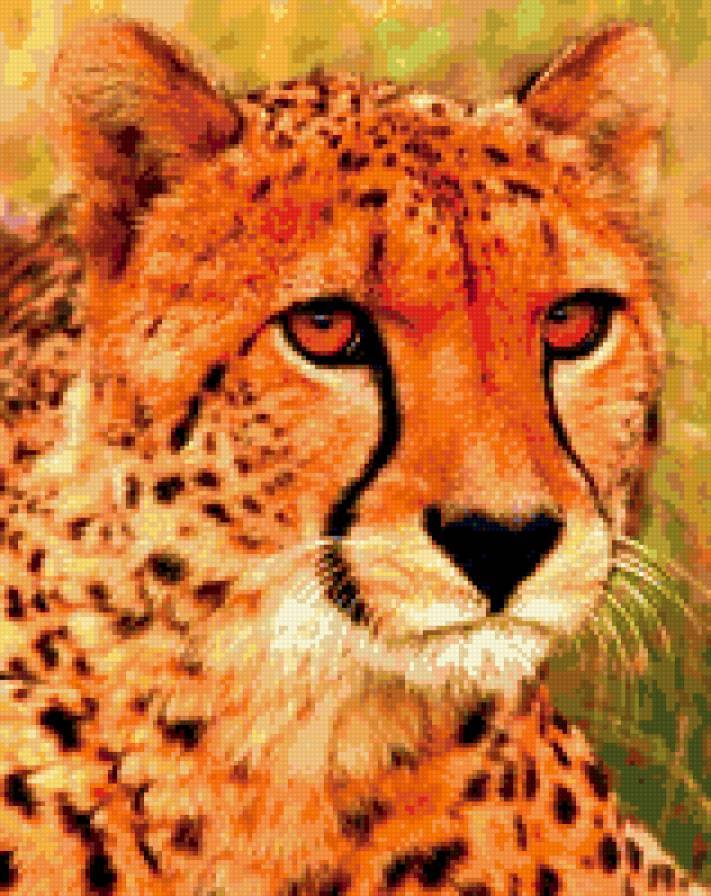 гепард - предпросмотр