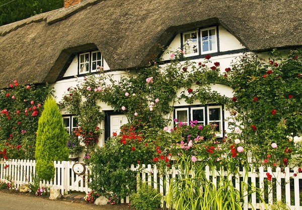 Сказочный домик - цветы, дом, природа, забор, улица - оригинал