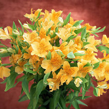 Оригинал схемы вышивки «желтые цветы» (№266022)