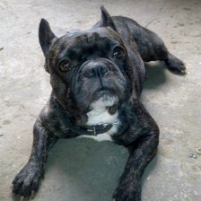 Схема вышивки «сема»