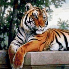 Схема вышивки «тигр»