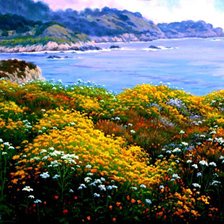 Цветочный берег