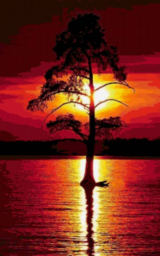 Закат - природа, дерево, закат - предпросмотр