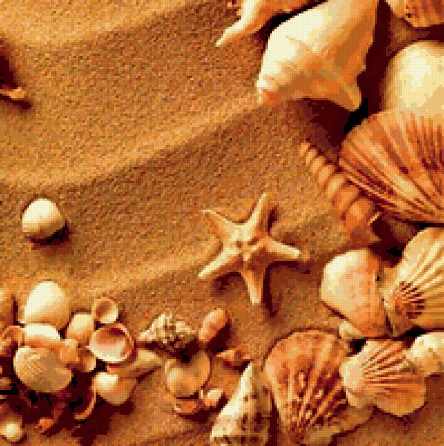 ракушки 2 - ракушки - предпросмотр