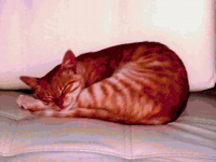 Спящий котейка - животные, рыжие, кот - предпросмотр
