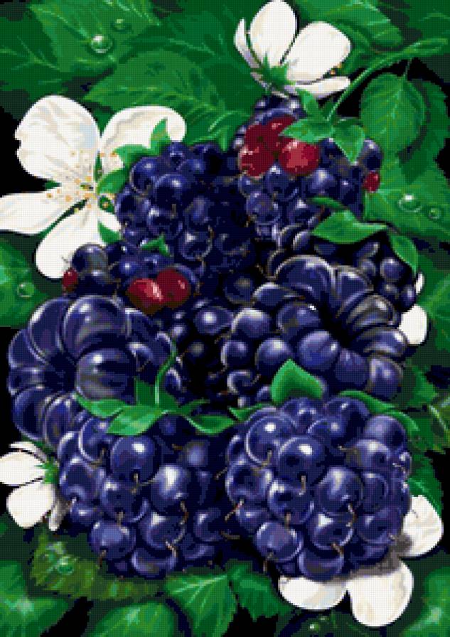 Ежевика - ежевика, ягоды - предпросмотр