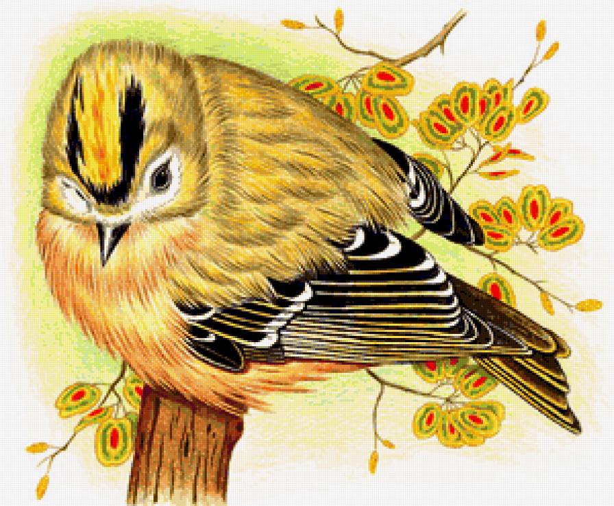 Серия "Птицы" - птицы, цветы - предпросмотр