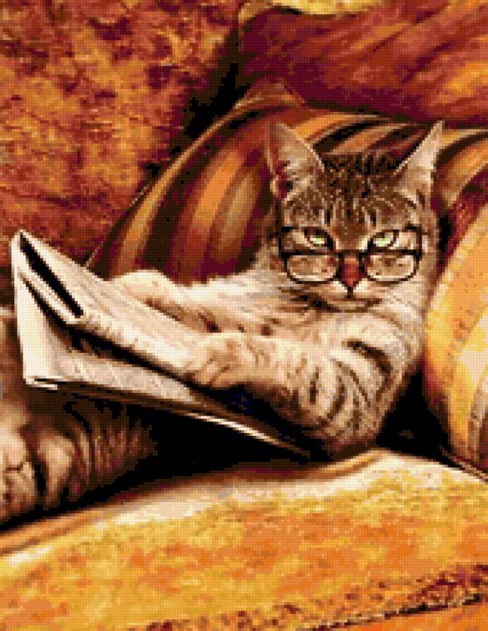 Умный кот - кот - предпросмотр