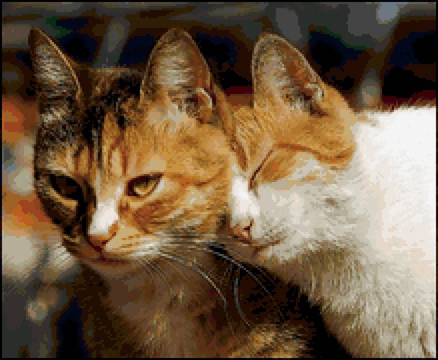 Парочка. - кот - предпросмотр