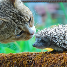 Схема вышивки «Ты кто?»