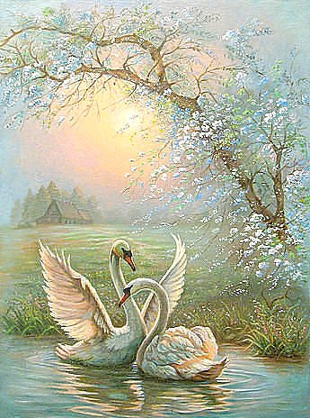 Лебединая песня - озеро, рассвет, лебеди, сказка, весна, цветы - оригинал