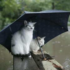 Под зонтом.
