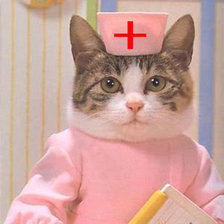 Схема вышивки «Кошка медсестра»