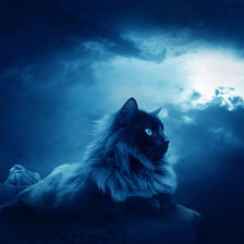 Схема вышивки «Сумерки.»