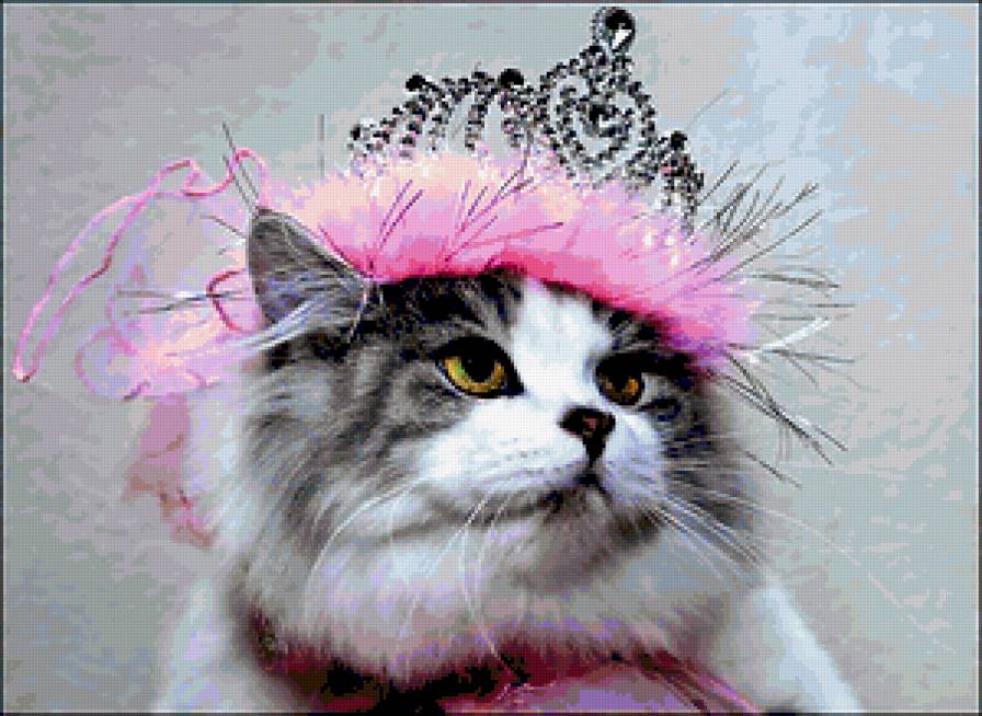 Вот какая я принцесса. - кот - предпросмотр