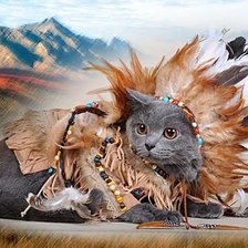 Схема вышивки «Дикий запад.»