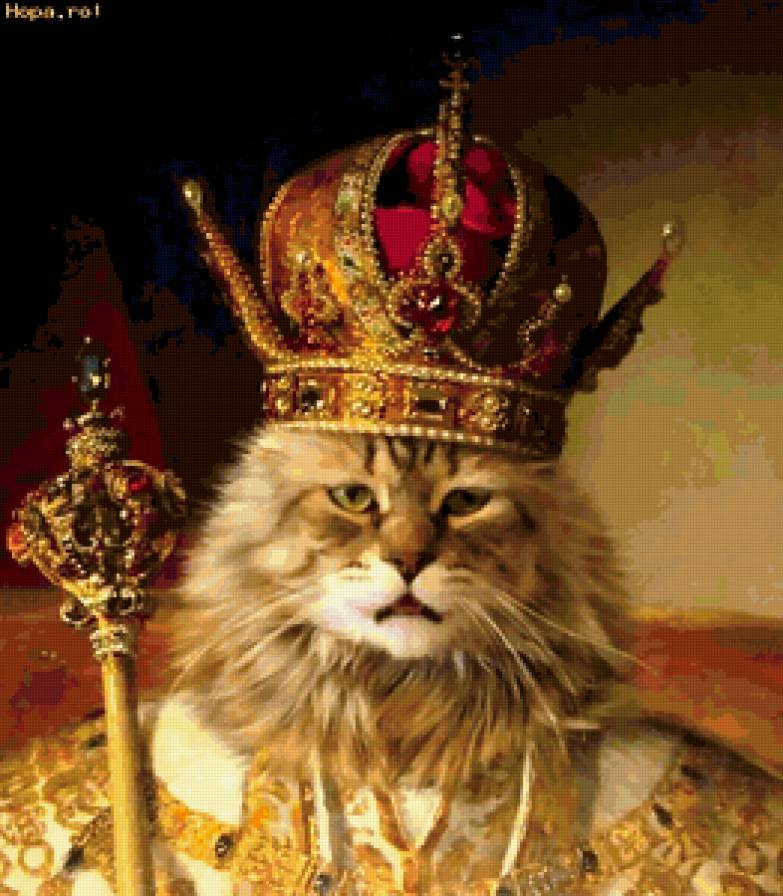 Царь-кот - кот - предпросмотр