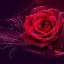 Схема вышивки «Роза.»