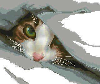 №267313 - оригинал