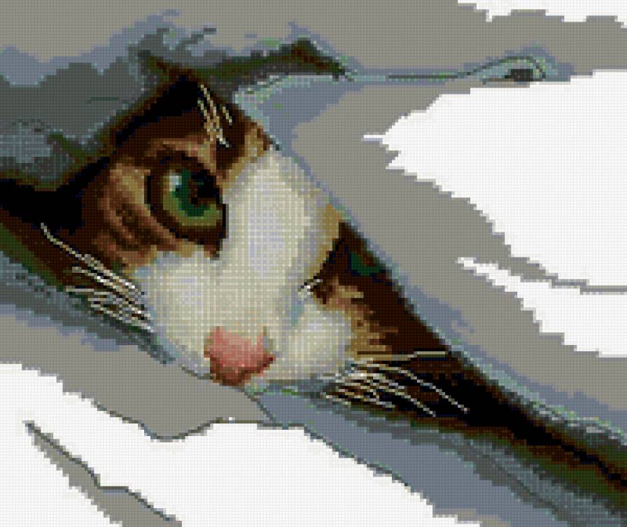 №267313 - предпросмотр