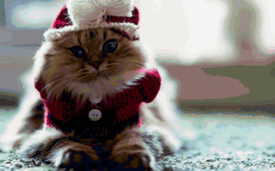 киска - предпросмотр