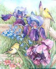 Лето - птицы, пейзаж, лето, ирисы, цветы - оригинал