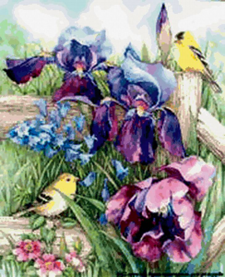 Лето - лето, ирисы, птицы, пейзаж, цветы - предпросмотр