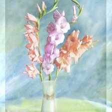 Схема вышивки «147»