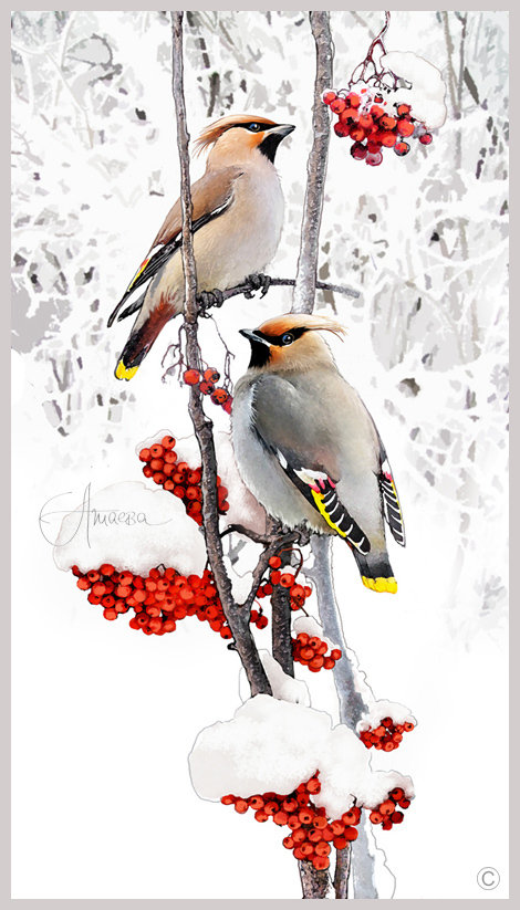Серия "Птицы" - птицы, ягоды, зима, рябина, пейзаж - оригинал