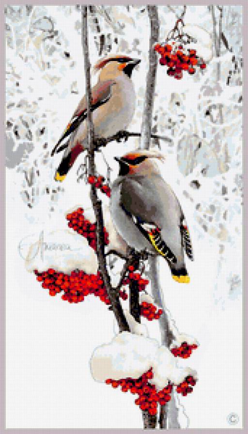Серия "Птицы" - рябина, зима, птицы, пейзаж, ягоды - предпросмотр