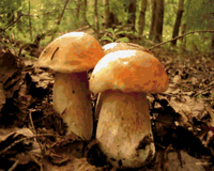 грибочки - предпросмотр