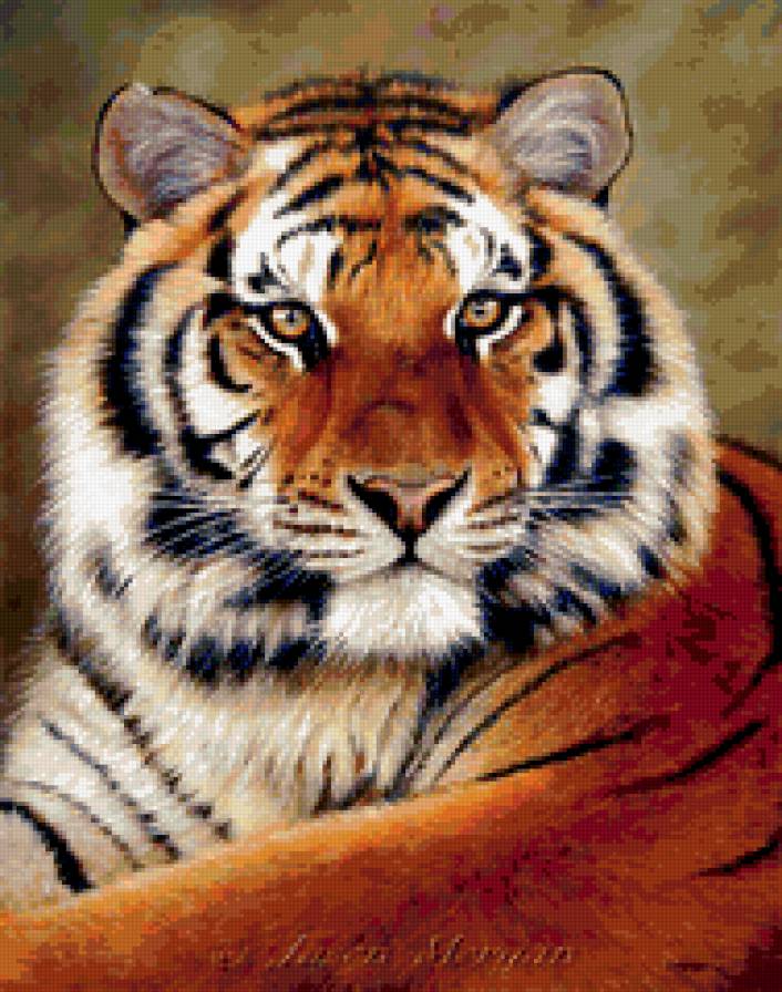 тигр - животные, фауна, природа, тигр, картина - предпросмотр