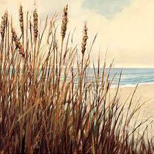 №267723 - оригинал