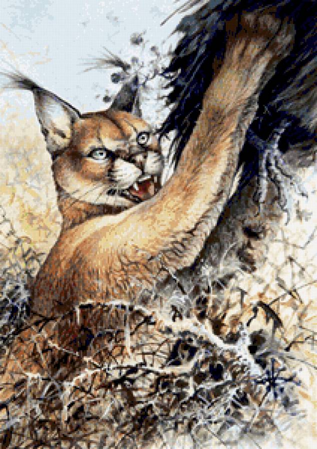 Серия "Большие кошки" - каракал, кошки, животные - предпросмотр