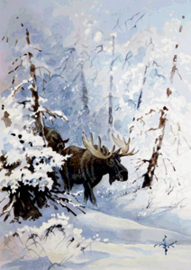 Зимние прогулки лосей - лоси, пейзаж, зима, животные - предпросмотр