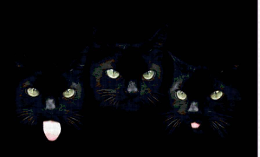 трио - кошки, трио, любимцы, неприятности, коты - предпросмотр