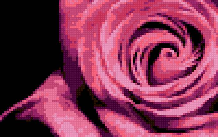 роза - предпросмотр