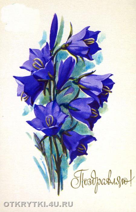 колокольчики - колокольчики - оригинал