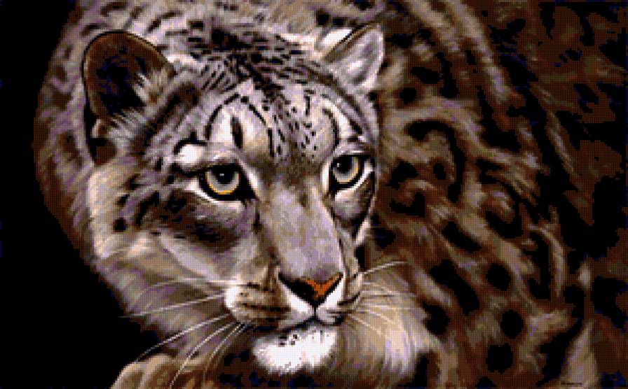 леопард - животные - предпросмотр