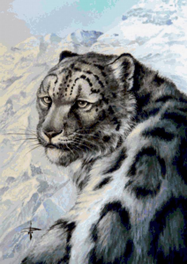 Взгляд ирбиса - зима, ирбис, горы, снежный барс, пейзаж, животные - предпросмотр