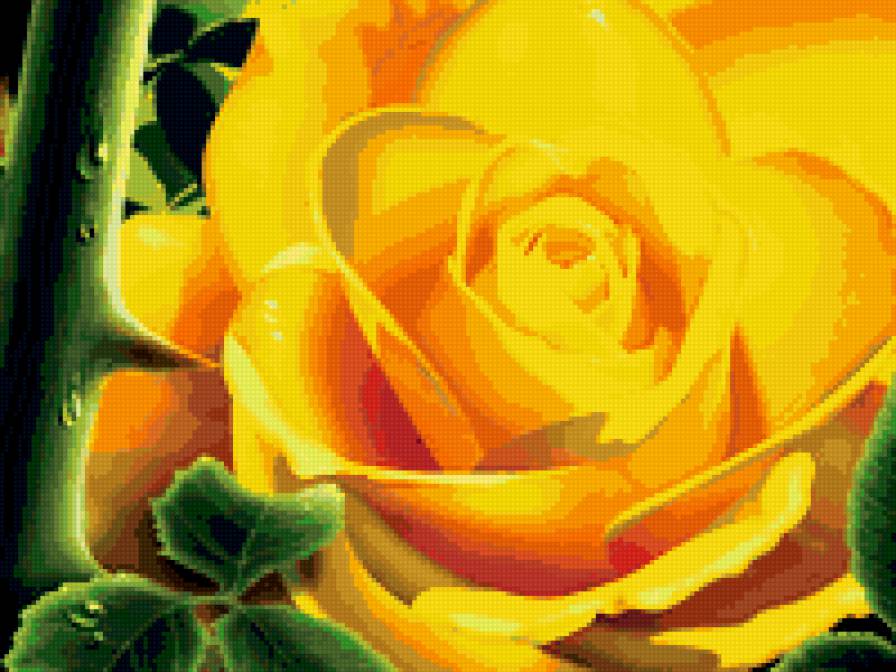 Желтая роза - роза - предпросмотр