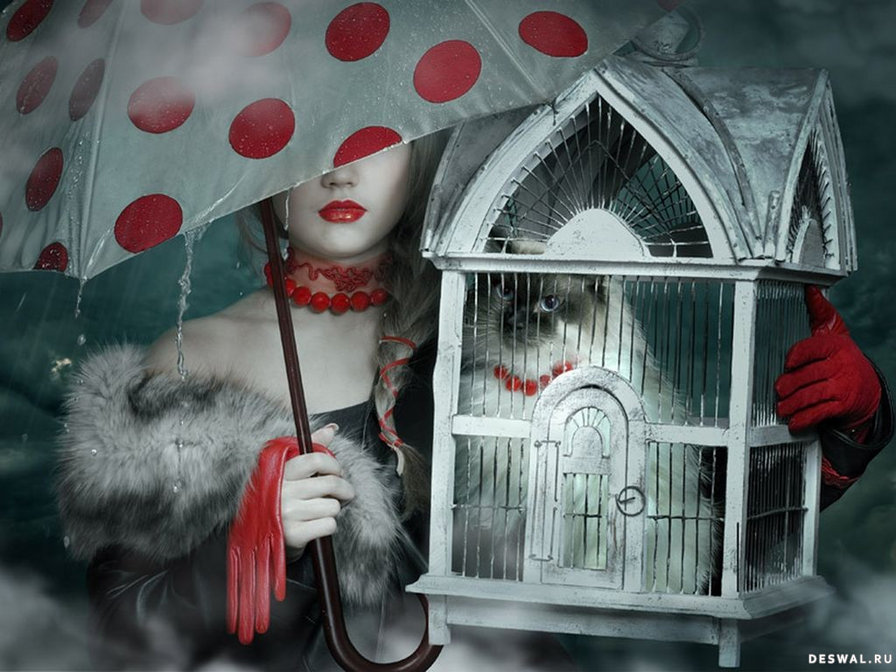 девушка с кошкой - люди - оригинал