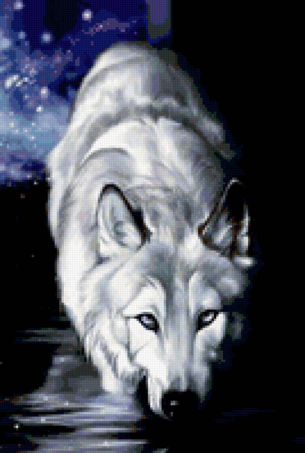 волк - предпросмотр