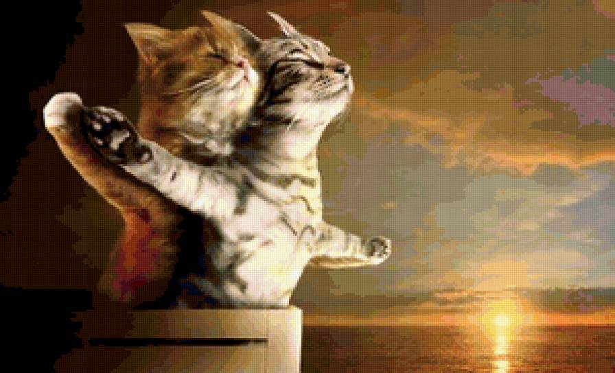 Титаник - любовь, кот - предпросмотр