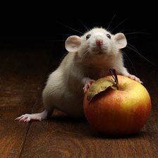 Мышонок с яблоком