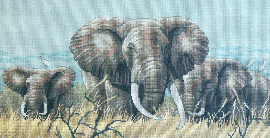 сила спокойствия - слоны - оригинал