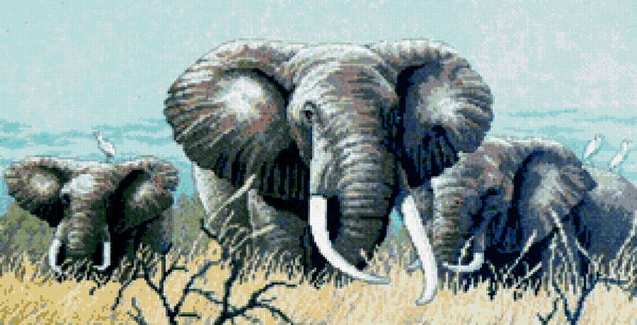 сила спокойствия - слоны - предпросмотр