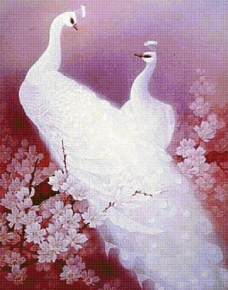 павлины - любовь - оригинал