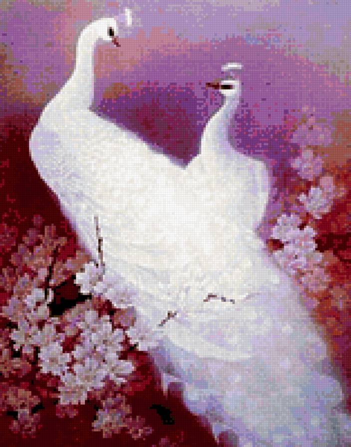 павлины - любовь - предпросмотр